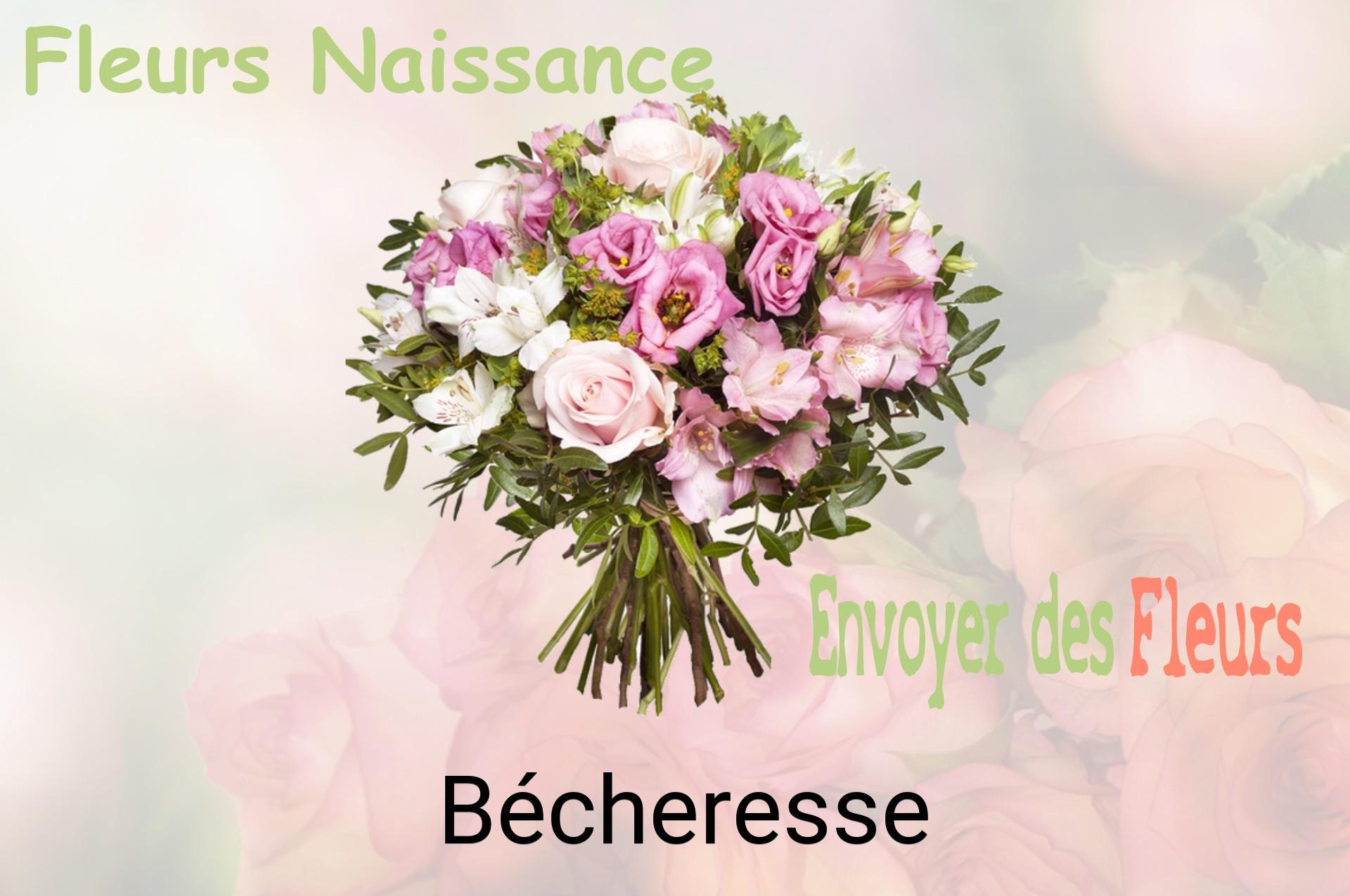 Bouquet de fleurs de naissance livré à Bécheresse